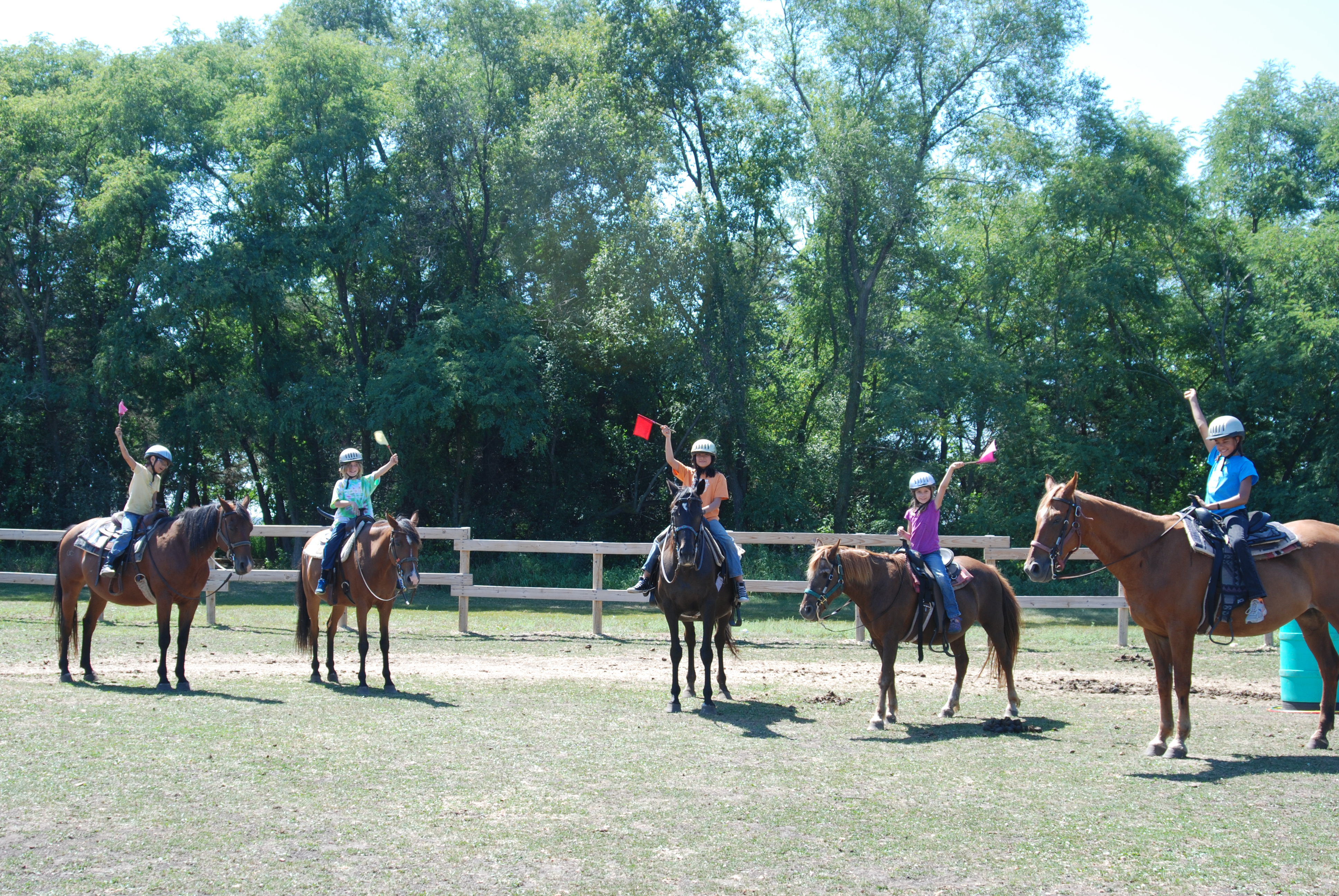 Horse Camps YMCA Twin Cities