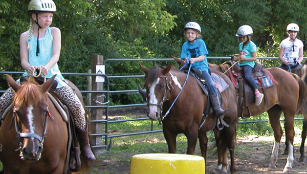 Horse Camps YMCA Twin Cities Thumbnail - Horse Camps YMCA Twin Cities